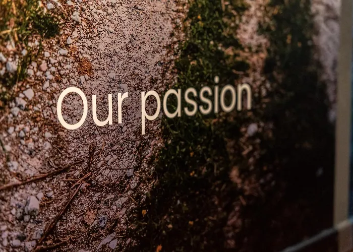 Hoomee Piazza Erbe Verona