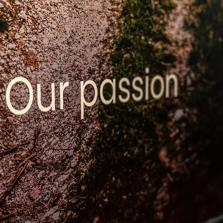 Hoomee Piazza Erbe Verona